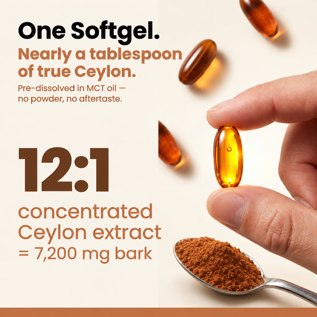 Hand holding one amber softgel above a spoon of ground cinnamon with the text "One Softgel. Nearly a tablespoon of true Ceylon." and "12:1 concentrated Ceylon extract = 7,200 mg bark"